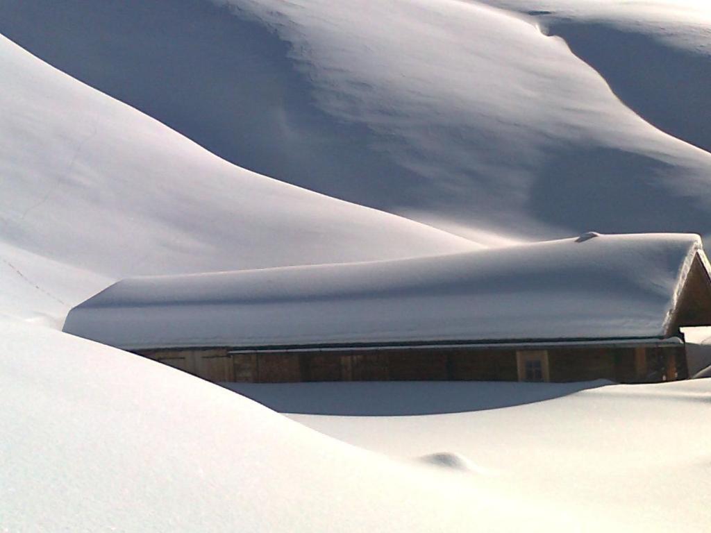 Ferienhaus Hochwimmer Hollersbach im Pinzgau Exterior photo